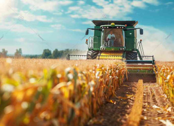 На Дніпропетровщині виставлено на продаж агропідприємство 5 500 га з поливними землями за $13 млн