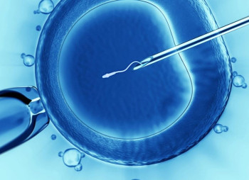 ZAS Ventures Invests in Ukrainian Startup Gamow Tech at €2.4M Valuation to Improve IVF Success Rates