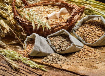 На Черкащине строят завод кормов с нидерландскими инвестициями за €20 млн