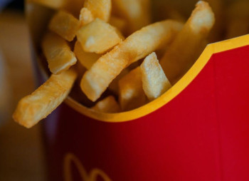 Mais Invests in Ukraine’s First French Fries Plant — Launch Planned in Two Years