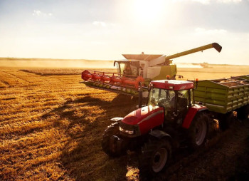 Agricultural Company with 1,300 ha of Farmland in Odesa Region for Sale