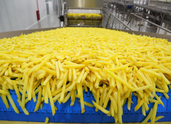 Потейто Агро екс-нардепа Сергія Терещука будує завод із виробництва картоплі фрі за $110 млн