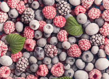 Украинский производитель Голдбери строит завод по заморозке ягод под Киевом