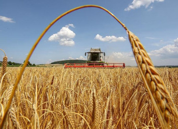 Diligent Capital Partners и 2ndAries создают фонд на €150 млн для поддержки украинского агросектора