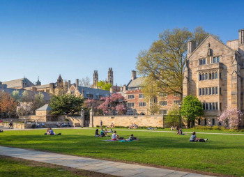 Йельский университет готовит продажу акций на сумму $2,5 млрд 