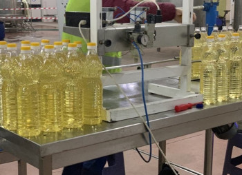 Производитель майонеза Гуляйполе запустил новую линию по разливу масла за 40 млн грн