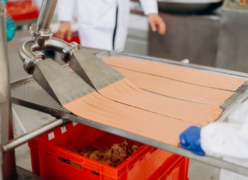 Suziria Group до конца года запустит в Калуше завод влажных кормов для домашних животных