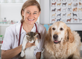 Merck Animal Health инвестирует $895 млн в свое предприятие в американском штате Канзас