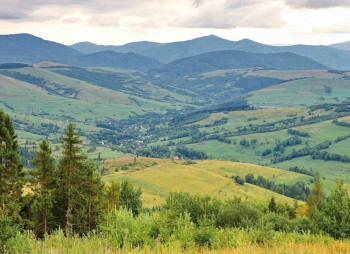 Индустриальный парк Карпаты создадут в поселке Чинадиево Мукачевского района