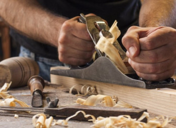 На Закарпатье создадут индустриальный парк в сфере деревообработки