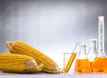 Аналіз ринку біоетанолу в Україні