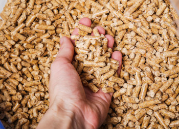 Pig Farming Company to Build Feed Mill in Lviv Region