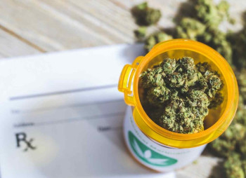 Рынок медицинского каннабиса в Украине