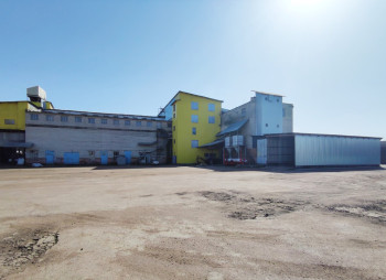 Flour Mill (130 tons/day) and Grain Storage Complex in Chernihiv Region for Sale