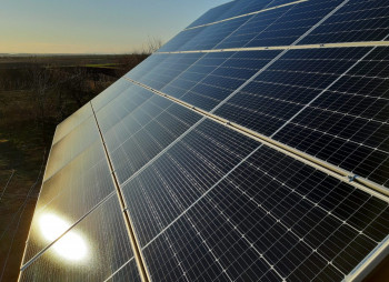 Zakarpattia-Based Brewery Tsypa Launches 100 kW Solar Power Plant Amid Energy Crisis