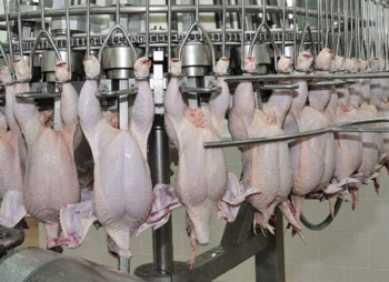 МХП покупает перерабатывающие мощности Агроль за минимум $5 млн