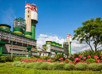 Одесский припортовый завод снова выставят на приватизацию: растет интерес иностранных инвесторов