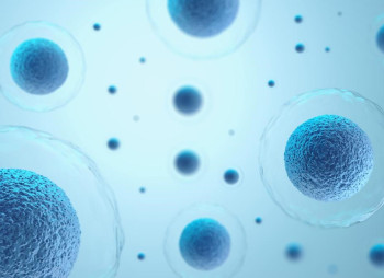 Американська Eli Lilly купить виробника протиракової терапії Kelonia Therapeutics за $2 млрд