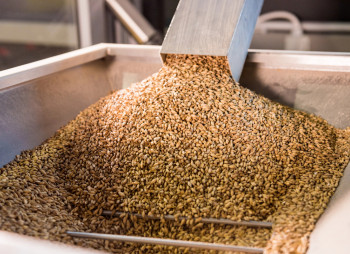 Agricultural company in Cherkasy region launches its own feed mill with grain storage facilities