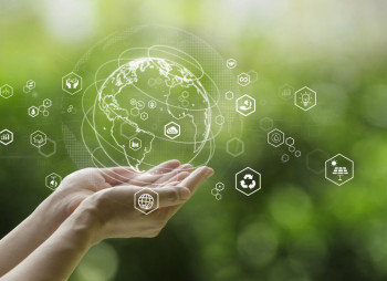 В прошлом году инвестиции в зеленые технологии достигли рекордных $2,3 трлн 