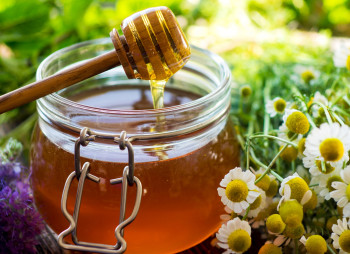 Grain Alliance планирует купить крупнейших экспортеров украинского меда в ЕС