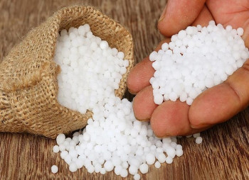 OSTCHEM Дмитрия Фирташа инвестирует 10 млн грн в производство аммиачной селитры