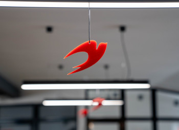 Sigma Software продала долю в харьковской IdeaSoft некоммерческой организации из Абу-Даби