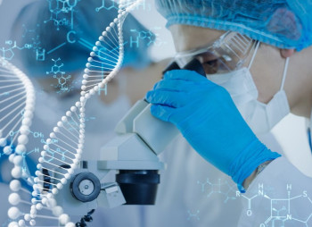 Eli Lilly заключила сделку до $1,12 млрд со стартапом Seamless Therapeutics 