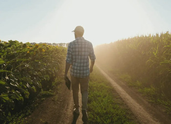 ТОП-100 крупнейшие агрохолдинги Украины по размеру земельного банка