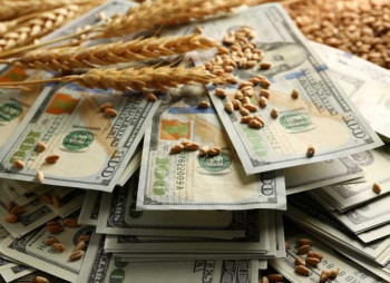 Укргазбанк привлек €10 млн от EFSE для поддержки МСП и агросектора