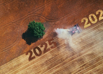 Investing in Ukraine’s Crop Farming Sector in 2025–2026: A Bet on Land Banks, Consolidation and Vertical Integration