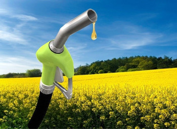 На Винничине планируют создать индустриальный парк с производством биотоплива и технического спирта