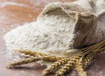 Who Is Investing in Flour Production in Ukraine in 2026