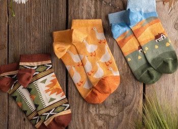 Український бренд шкарпеток Dodo Socks інвестував до $145 тис у запуск магазину в Японії