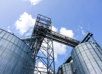 0 сделок в 2025 году: почему провалилась приватизация зерновых объектов в Украине