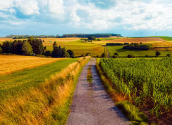 Investment Deal Volume in Ukraine’s Agricultural Sector Reached $167 mln in 2025