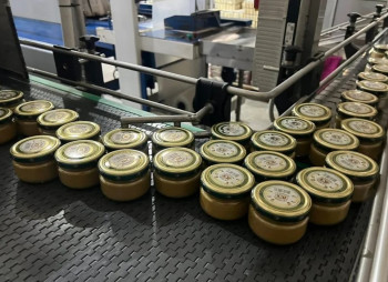 Ukraine’s Largest Horseradish Producer Invested UAH 8 Million in a New Cider Production Facility