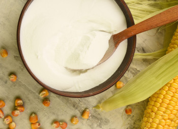 Corn Deep Processing Plant and 5 MW Solar Power Plant Planned in Chernihiv Region
