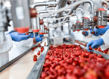 Правительство расширило доступ к грантам для перерабатывающей промышленности: бизнес сможет получить до 16 млн грн