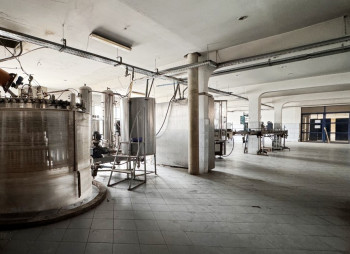 10,000 m² Food-Grade Production Complex in Lviv Region Listed for Sale at $2.5 Million