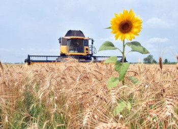 Капитальные инвестиции в агросектор выросли на 7% 