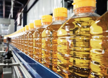 Hanze Agri Ukraine to Build a 300 tpd Oil Pressing Plant in Lviv Region