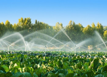 Continental Farmers Group to Invest More Than $1 Million in Irrigation Project in Ternopil Region