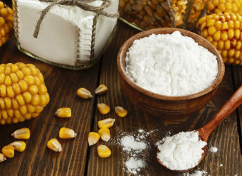 Odesa Region to Launch 198,000-Tonne Corn Deep-Processing Plant