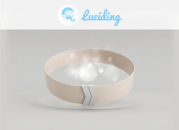 Украино-российский стартап Luciding привлек $15 тыс. от WannaBiz