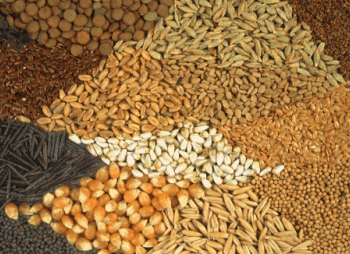 Ирландская Origin Enterprises приобретает украинского агродистрибьютора