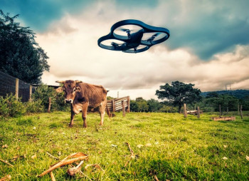 AgTech sector development and venture investment attractiveness