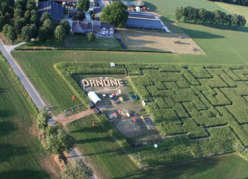 Семейные фермы и молочные кооперативы получат инвестиции от Danone