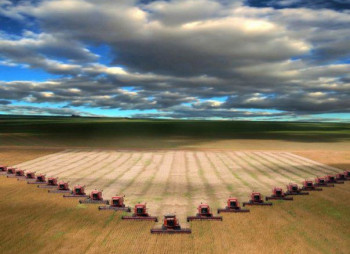 ЕБРР предоставит украинским аграриям кредит на $40 млн.