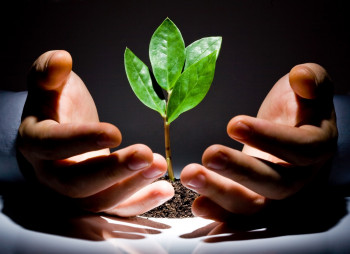 В США объем венчурных инвестиций за 2014 год составил $47,3 млрд